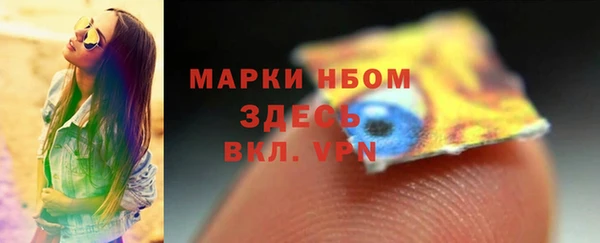 индика Горняк